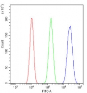 Flow cytometry testing of human A549 cells with ATRX antibody at 1ug/million cells (blocked with goat sera); Red=cells alone, Green=isotype control, Blue= ATRX antibody.