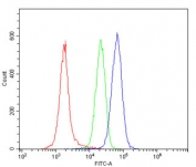 Flow cytometry testing of human PBM cells with HLA-DRA antibody at 1ug/million cells (blocked with goat sera); Red=cells alone, Green=isotype control, Blue= HLA-DRA antibody.