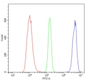 Flow cytometry testing of human HL-60 cells with MCM2 antibody at 1ug/million cells (blocked with goat sera); Red=cells alone, Green=isotype control, Blue= MCM2 antibody.