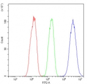 Flow cytometry testing of human HepG2 cells with PXR/NR1I2 antibody at 1ug/million cells (blocked with goat sera); Red=cells alone, Green=isotype control, Blue= PXR/NR1I2 antibody.