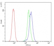 Flow cytometry testing of human ThP-1 cells with SUZ12 antibody at 1ug/million cells (blocked with goat sera); Red=cells alone, Green=isotype control, Blue= SUZ12 antibody.