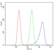 Flow cytometry testing of human A431 cells with UBC9 antibody at 1ug/million cells (blocked with goat sera); Red=cells alone, Green=isotype control, Blue= UBC9 antibody.