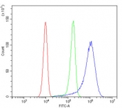 Flow cytometry testing of human SiHa cells with MTR antibody at 1ug/million cells (blocked with goat sera); Red=cells alone, Green=isotype control, Blue= MTR antibody.