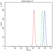 Flow cytometry testing of fixed and permeabilized human PC-3 cells with SKP1 antibody at 1ug/million cells (blocked with goat sera); Red=cells alone, Green=isotype control, Blue= SKP1 antibody.