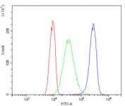 Flow cytometry testing of human A431 cells with MVP antibody at 1ug/million cells (blocked with goat sera); Red=cells alone, Green=isotype control, Blue= MVP antibody.