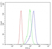 Flow cytometry testing of human Caco-2 cells with mtTFA antibody at 1ug/million cells (blocked with goat sera); Red=cells alone, Green=isotype control, Blue= mtTFA antibody.