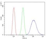 Flow cytometry testing of human HEPA1-6 cells with Beta Tubulin antibody at 1ug/million cells (blocked with goat sera); Red=cells alone, Green=isotype control, Blue= Beta Tubulin antibody.