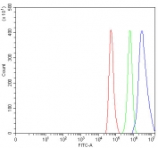 Flow cytometry testing of fixed and permeabilized human HeLa cells with DHX15 antibody at 1ug/million cells (blocked with goat sera); Red=cells alone, Green=isotype control, Blue= DHX15 antibody.