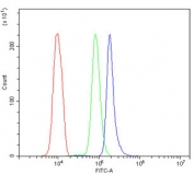 Flow cytometry testing of human U937 cells with HMMR antibody at 1ug/million cells (blocked with goat sera); Red=cells alone, Green=isotype control, Blue= HMMR antibody.