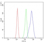 Flow cytometry testing of human Caco-2 cells with HSD3B1 antibody at 1ug/million cells (blocked with goat sera); Red=cells alone, Green=isotype control, Blue= HSD3B1 antibody.