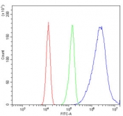 Flow cytometry testing of human Caco-2 cells with Keratin 20 antibody at 1ug/million cells (blocked with goat sera); Red=cells alone, Green=isotype control, Blue= Keratin 20 antibody.