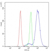 Flow cytometry testing of human HeLa cells with Keratin 20 antibody at 1ug/million cells (blocked with goat sera); Red=cells alone, Green=isotype control, Blue= Keratin 20 antibody.