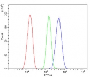 Flow cytometry testing of mouse HEPA1-6 cells with Desmoglein 2 antibody at 1ug/million cells (blocked with goat sera); Red=cells alone, Green=isotype control, Blue= Desmoglein 2 antibody.