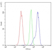 Flow cytometry testing of human HL-60 cells with NDC80 antibody at 1ug/million cells (blocked with goat sera); Red=cells alone, Green=isotype control, Blue= NDC80 antibody.