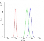 Flow cytometry testing of human SiHa cells with NDC80 antibody at 1ug/million cells (blocked with goat sera); Red=cells alone, Green=isotype control, Blue= NDC80 antibody.