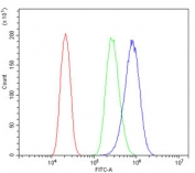 Flow cytometry testing of human PC-3 cells with HK1 antibody at 1ug/million cells (blocked with goat sera); Red=cells alone, Green=isotype control, Blue= HK1 antibody.