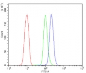 Flow cytometry testing of human U937 cells with Folliculin antibody at 1ug/million cells (blocked with goat sera); Red=cells alone, Green=isotype control, Blue= Folliculin antibody.