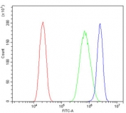 Flow cytometry testing of human PC-3 cells with LIN28A antibody at 1ug/million cells (blocked with goat sera); Red=cells alone, Green=isotype control, Blue= LIN28A antibody.