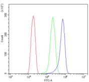 Flow cytometry testing of human HeLa cells with SDHA antibody at 1ug/million cells (blocked with goat sera); Red=cells alone, Green=isotype control, Blue= SDHA antibody.