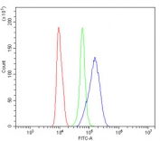 Flow cytometry testing of mouse RAW264.7 cells with SDHA antibody at 1ug/million cells (blocked with goat sera); Red=cells alone, Green=isotype control, Blue= SDHA antibody.