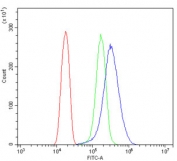 Flow cytometry testing of human HeLa cells with BUB1B antibody at 1ug/million cells (blocked with goat sera); Red=cells alone, Green=isotype control, Blue= BUB1B antibody.