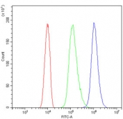 Flow cytometry testing of human HL-60 cells with NUP214 antibody at 1ug/million cells (blocked with goat sera); Red=cells alone, Green=isotype control, Blue= NUP214 antibody.