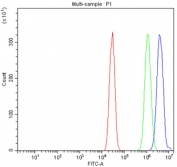 Flow cytometry testing of mouse HEPA1-6 cells with NUP214 antibody at 1ug/million cells (blocked with goat sera); Red=cells alone, Green=isotype control, Blue= NUP214 antibody.