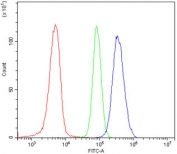 Flow cytometry testing of rat C6 cells with CLTC antibody at 1ug/million cells (blocked with goat sera); Red=cells alone, Green=isotype control, Blue= CLTC antibody.