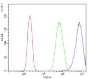 Flow cytometry testing of human PC-3 cells with Sprouty 4 antibody at 1ug/million cells (blocked with goat sera); Red=cells alone, Green=isotype control, Blue= Sprouty 4 antibody.