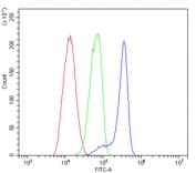 Flow cytometry testing of human HL-60 cells with USP15 antibody at 1ug/million cells (blocked with goat sera); Red=cells alone, Green=isotype control, Blue= USP15 antibody.