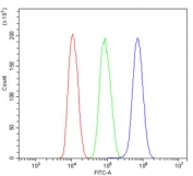 Flow cytometry testing of human HepG2 cells with CTHRC1 antibody at 1ug/million cells (blocked with goat sera); Red=cells alone, Green=isotype control, Blue= CTHRC1 antibody.