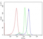 Flow cytometry testing of human PBM cells with CXCR2 antibody at 1ug/million cells (blocked with goat sera); Red=cells alone, Green=isotype control, Blue= CXCR2 antibody.