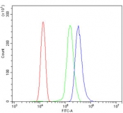 Flow cytometry testing of human ThP-1 cells with DLL1 antibody at 1ug/million cells (blocked with goat sera); Red=cells alone, Green=isotype control, Blue= DLL1 antibody.