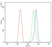 Flow cytometry testing of human SiHa cells with GLS antibody at 1ug/million cells (blocked with goat sera); Red=cells alone, Green=isotype control, Blue= GLS antibody.