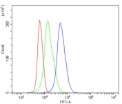 Flow cytometry testing of mouse spleen cells with Irf3 antibody at 1ug/million cells (blocked with goat sera); Red=cells alone, Green=isotype control, Blue= Irf3 antibody.