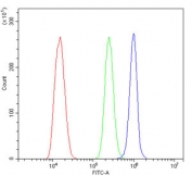 Flow cytometry testing of mouse ANA-1 cells with MYH10 antibody at 1ug/million cells (blocked with goat sera); Red=cells alone, Green=isotype control, Blue= MYH10 antibody.