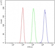 Flow cytometry testing of rat C6 cells with MYH10 antibody at 1ug/million cells (blocked with goat sera); Red=cells alone, Green=isotype control, Blue= MYH10 antibody.