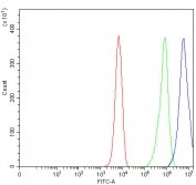 Flow cytometry testing of fixed and permeabilized human K562 cells with FEN-1 antibody at 1ug/million cells (blocked with goat sera); Red=cells alone, Green=isotype control, Blue= FEN-1 antibody.