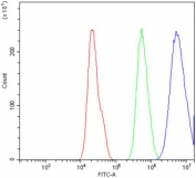 Flow cytometry testing of human A549 cells with CAV2 antibody at 1ug/million cells (blocked with goat sera); Red=cells alone, Green=isotype control, Blue= CAV2 antibody.