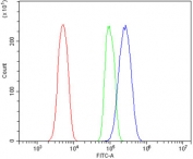 Flow cytometry testing of mouse RAW264.7 cells with C5a receptor antibody at 1ug/million cells (blocked with goat sera); Red=cells alone, Green=isotype control, Blue= C5a-R antibody.