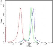 Flow cytometry testing of human PBM cells with CD74 antibody at 1ug/million cells (blocked with goat sera); Red=cells alone, Green=isotype control, Blue= CD74 antibody.