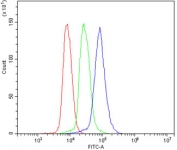 Flow cytometry testing of mouse spleen cells with Cd82 antibody at 1ug/million cells (blocked with goat sera); Red=cells alone, Green=isotype control, Blue= Cd82 antibody.