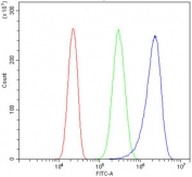 Flow cytometry testing of human PC-3 cells with MitoNEET antibody at 1ug/million cells (blocked with goat sera); Red=cells alone, Green=isotype control, Blue= MitoNEET antibody.