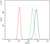 Flow cytometry testing of human U-2 OS cells with NAF-1 antibody at 1ug/million cells (blocked with goat sera); Red=cells alone, Green=isotype control, Blue= NAF-1 antibody.