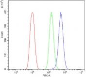 Flow cytometry testing of human PC-3 cells with CLDN3 antibody at 1ug/million cells (blocked with goat sera); Red=cells alone, Green=isotype control, Blue= CLDN3 antibody.