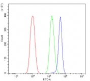 Flow cytometry testing of human PC-3 cells with Claudin 16 antibody at 1ug/million cells (blocked with goat sera); Red=cells alone, Green=isotype control, Blue= Claudin 16 antibody.