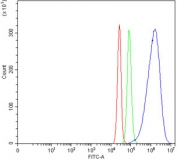 Flow cytometry testing of human SiHa cells with CYP7A1 antibody at 1ug/million cells (blocked with goat sera); Red=cells alone, Green=isotype control, Blue= CYP7A1 antibody.