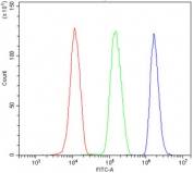 Flow cytometry testing of human HL-60 cells with Ribonuclease 3 antibody at 1ug/million cells (blocked with goat sera); Red=cells alone, Green=isotype control, Blue= Ribonuclease 3 antibody.