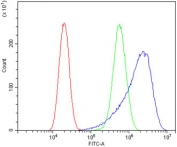 Flow cytometry testing of human A549 cells with EGF Receptor antibody at 1ug/million cells (blocked with goat sera); Red=cells alone, Green=isotype control, Blue= EGF Receptor antibody.