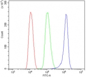 Flow cytometry testing of human ThP-1 cells with EIF2AK4 antibody at 1ug/million cells (blocked with goat sera); Red=cells alone, Green=isotype control, Blue= EIF2AK4 antibody.
